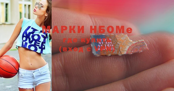 хмурый Арсеньев