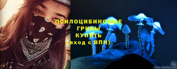 хмурый Арсеньев