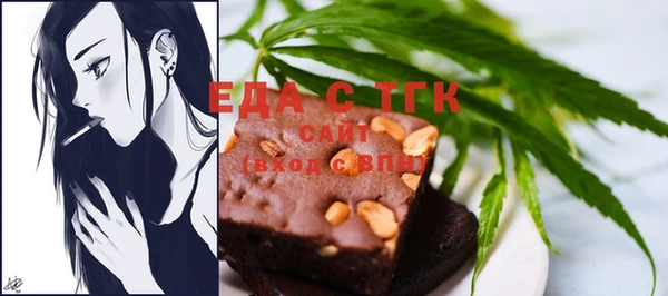 индика Аркадак
