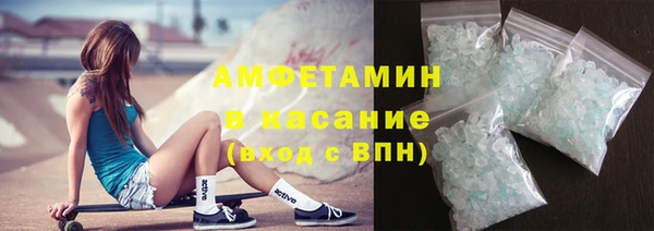 индика Аркадак