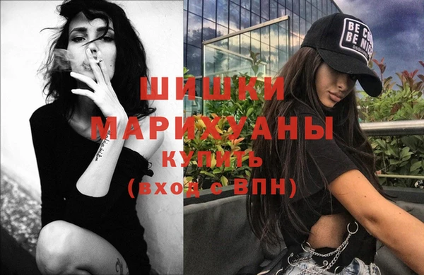 хмурый Арсеньев