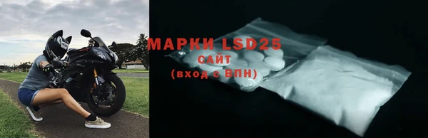 индика Аркадак