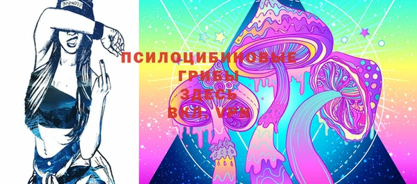 винт Армянск