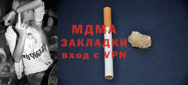 хмурый Арсеньев