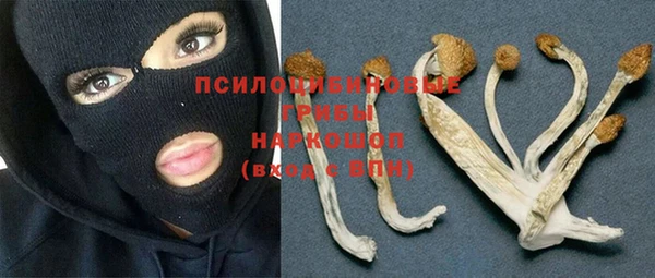 винт Армянск