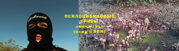хмурый Арсеньев