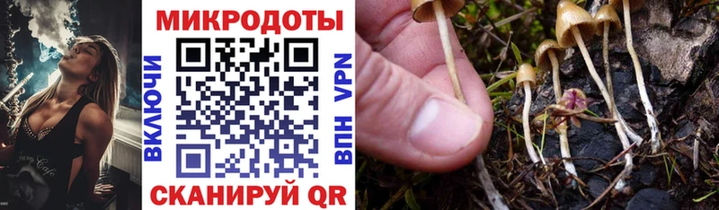 продажа наркотиков  Губкинский  Псилоцибиновые грибы мухоморы 